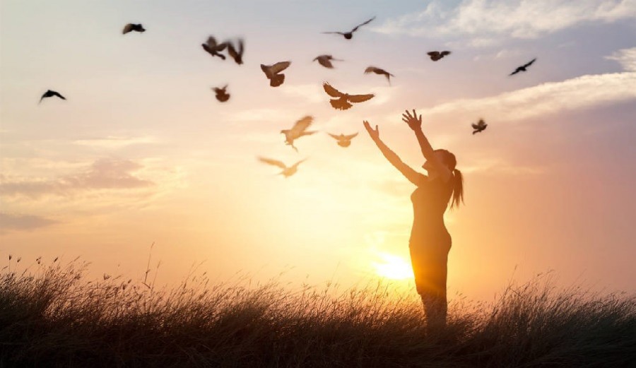 Consciencia y espiritualidad