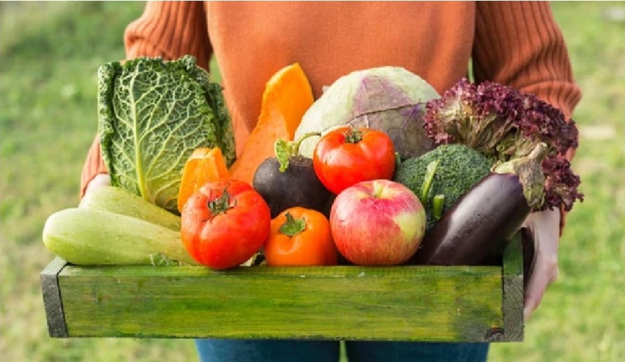 Alimentación orgánica: 3 beneficios de una dieta 
